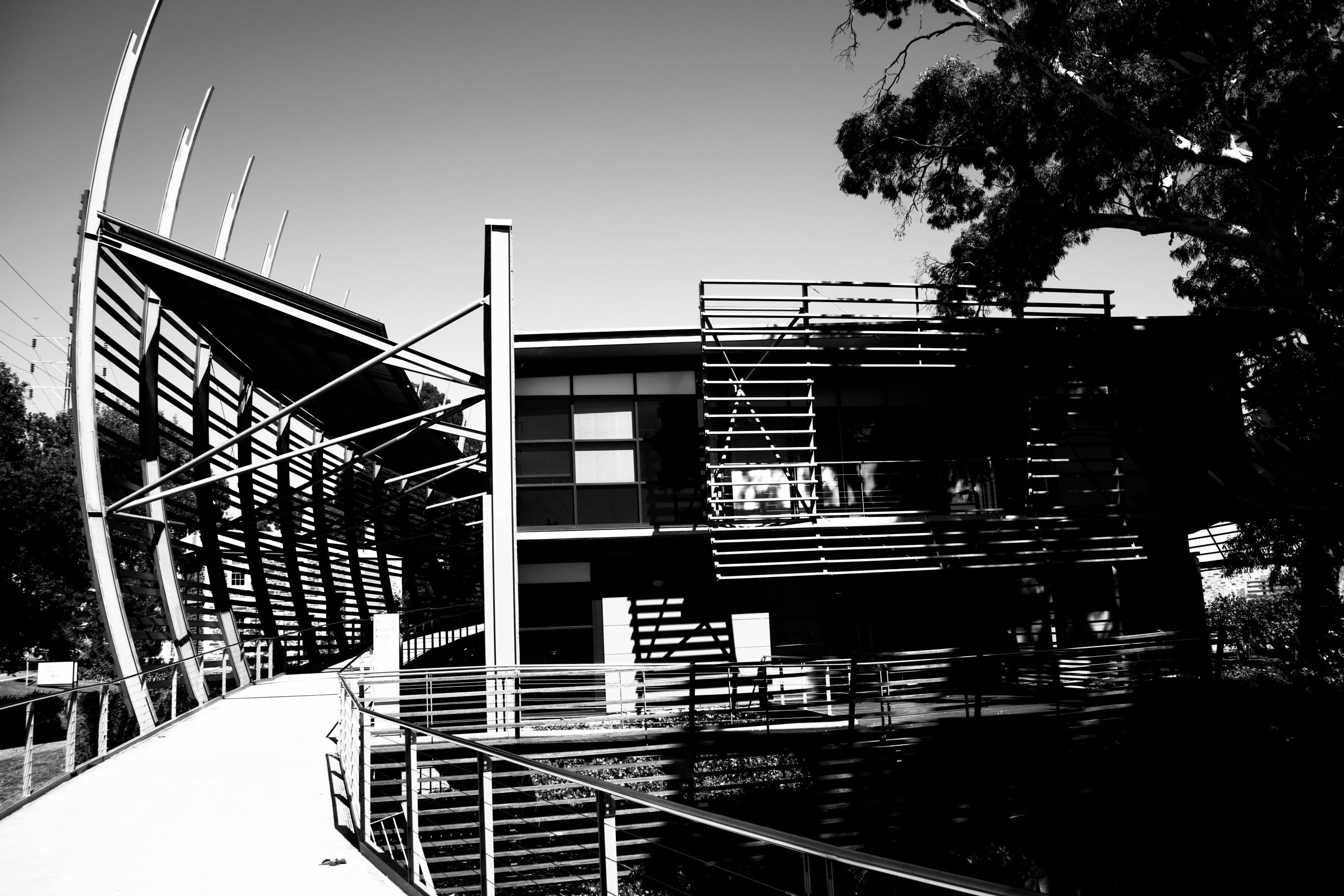 The National Wine Centre of Australia and its entrance walkway